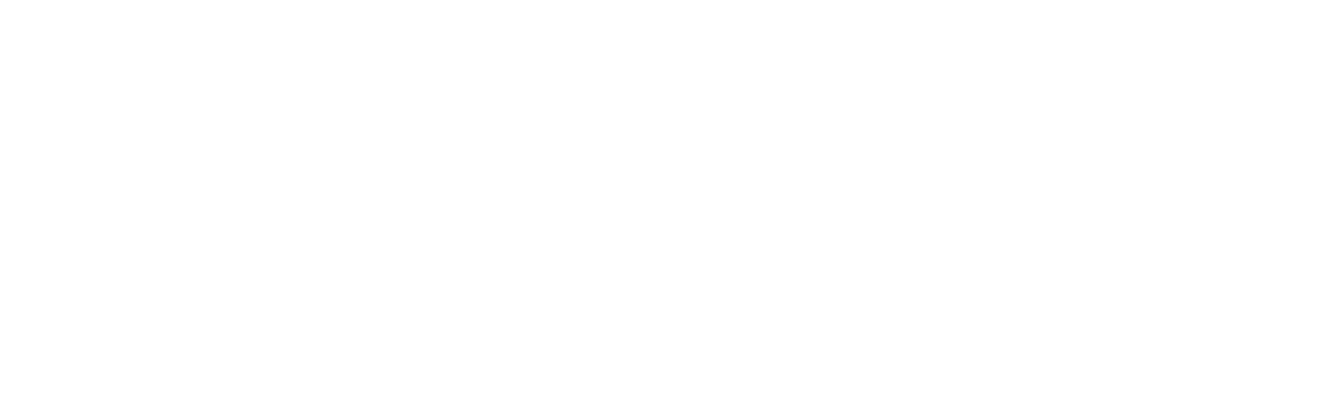 Direct Logistics - company logo - reversed